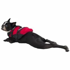 Best Pirce ✨ NRS CFD - Canine Flotation Device 🎁 -Helinox Shop 40023 01 2140 batman 091912 1000x1000 30512.1626821929