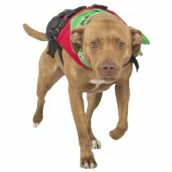 Best Pirce ✨ NRS CFD - Canine Flotation Device 🎁 -Helinox Shop 40023 01 2140 montana 091912 1000x1000 19921.1626821934