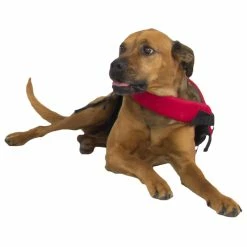 Best Pirce ✨ NRS CFD - Canine Flotation Device 🎁 -Helinox Shop 40023 01 2140 tonka 091912 1000x1000 71084.1626821931
