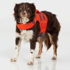 Flash Sale 🤩 NRS CFD 🐶 Dog Life Jacket 👏 -Helinox Shop 40023 02 Orange Small26lbs ModelStanding 031022 2000x2000 rsz 28240.1654628237